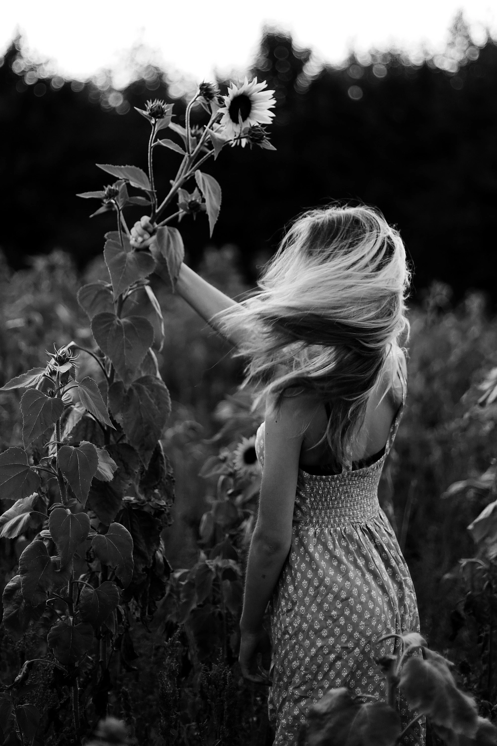 Steffotografie – Fotografie