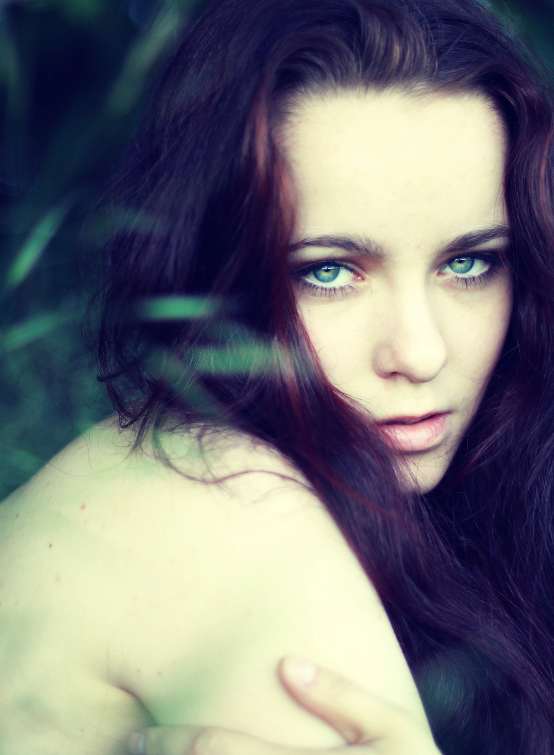 Steffotografie – Fotografie