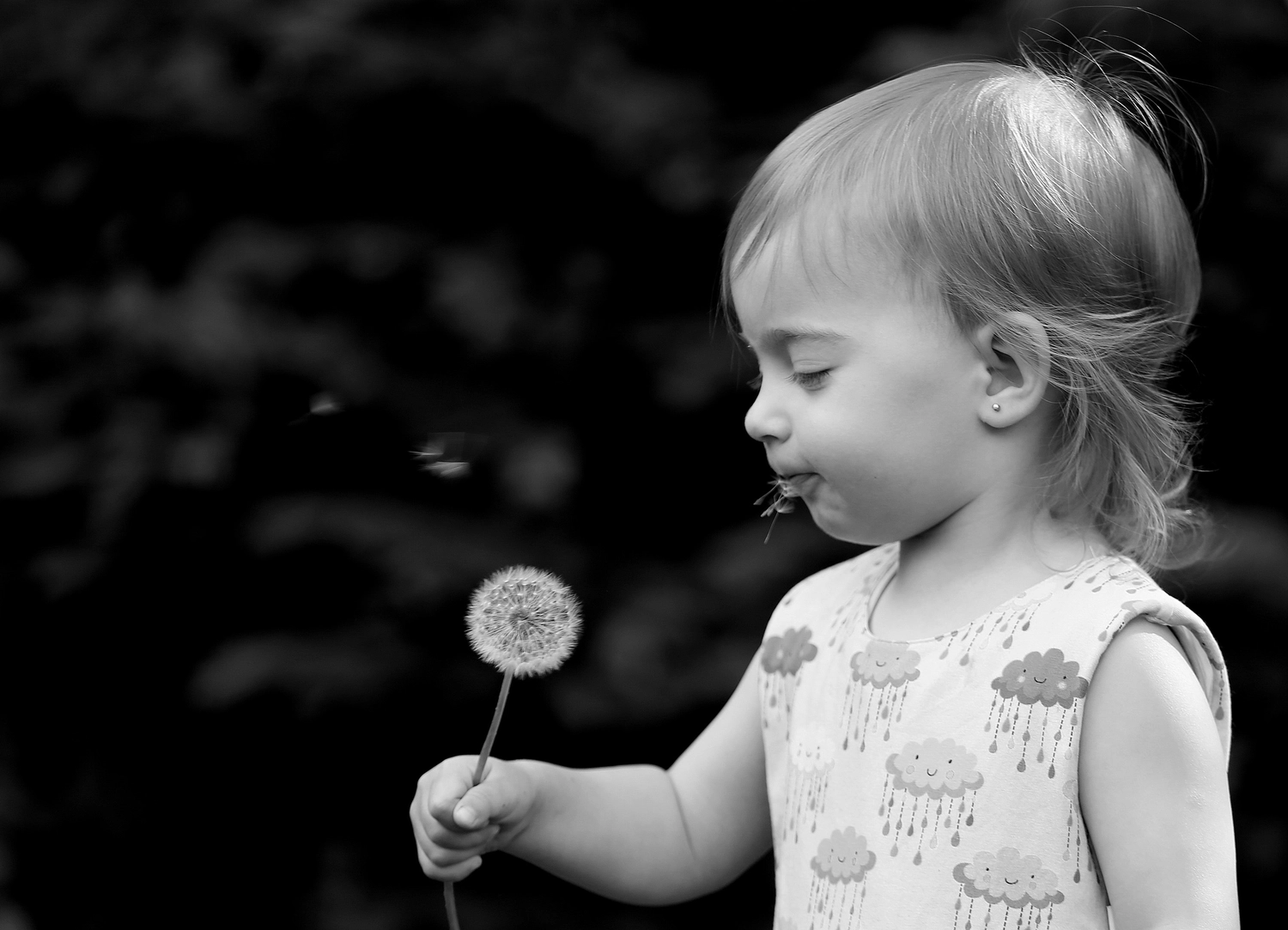 Steffotografie – Fotografie