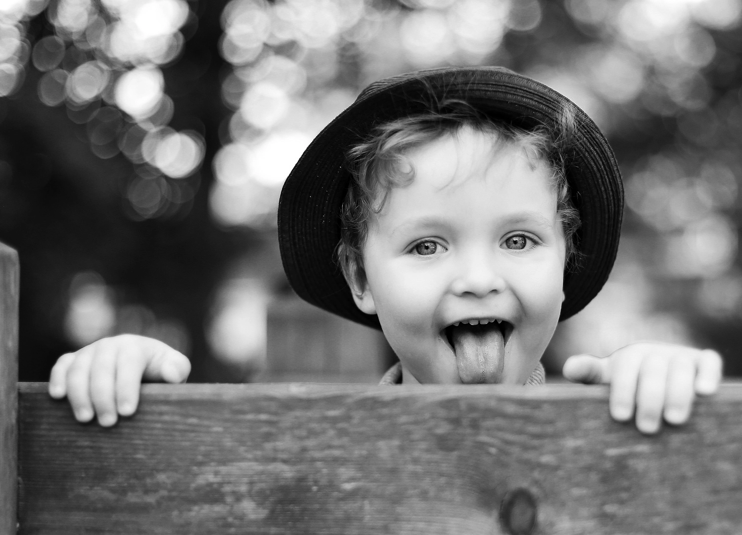 Steffotografie – Fotografie