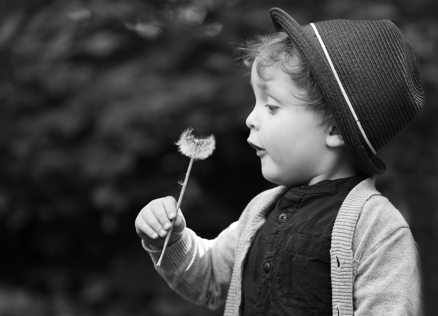 Steffotografie – Fotografie