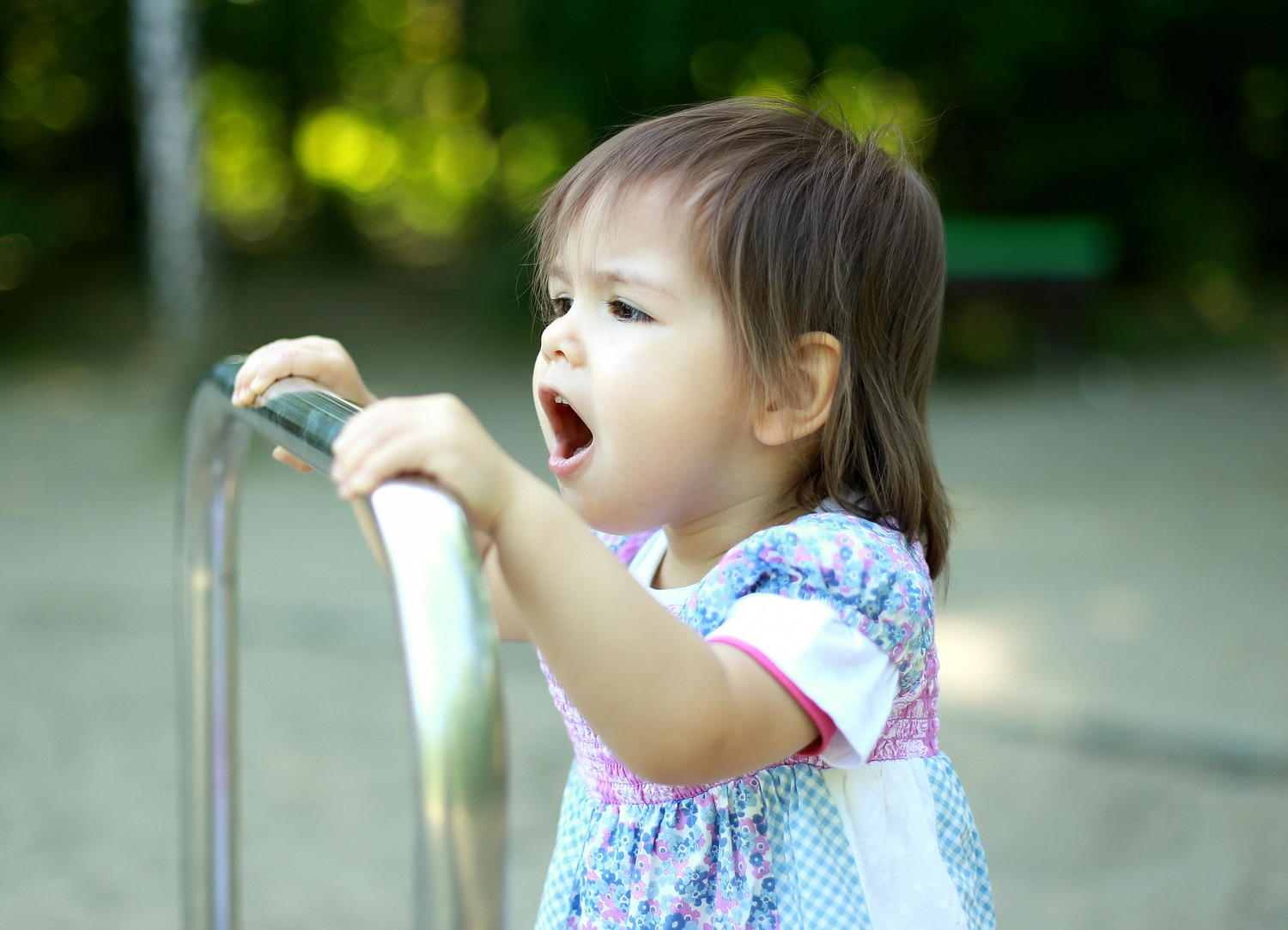 Steffotografie – Fotografie