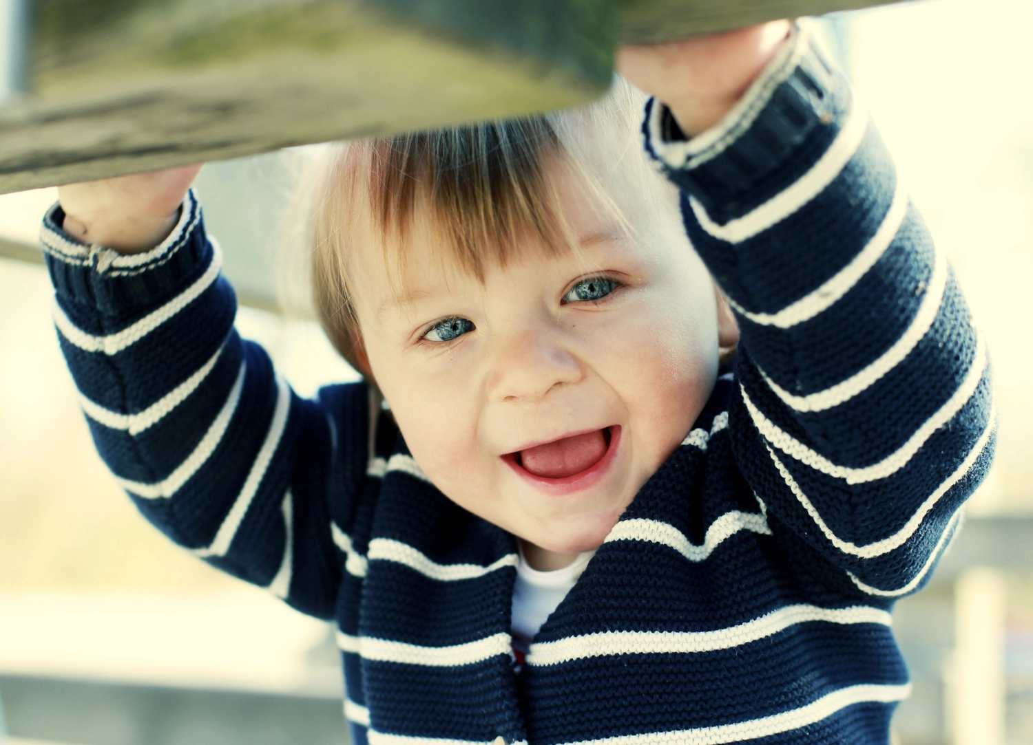 Steffotografie – Fotografie