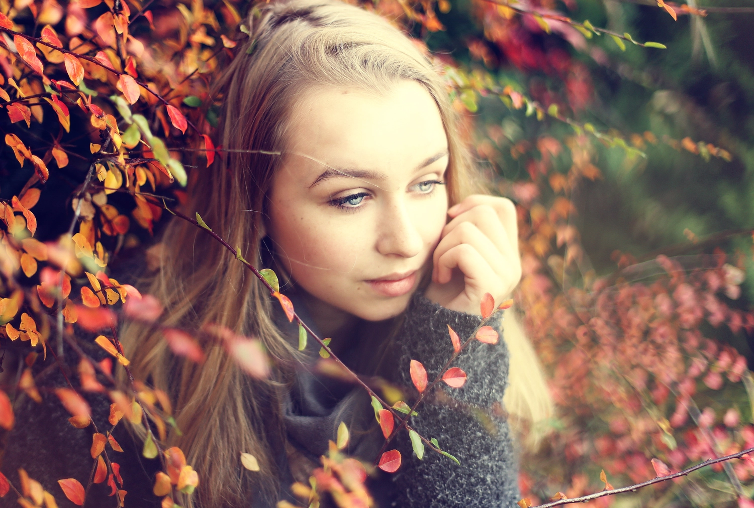 Steffotografie – Fotografie