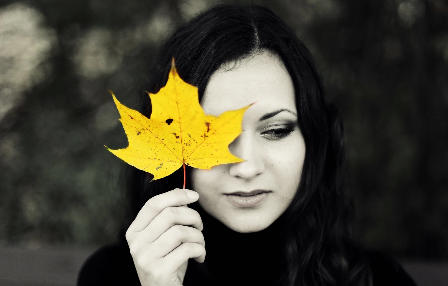 Steffotografie – Fotografie