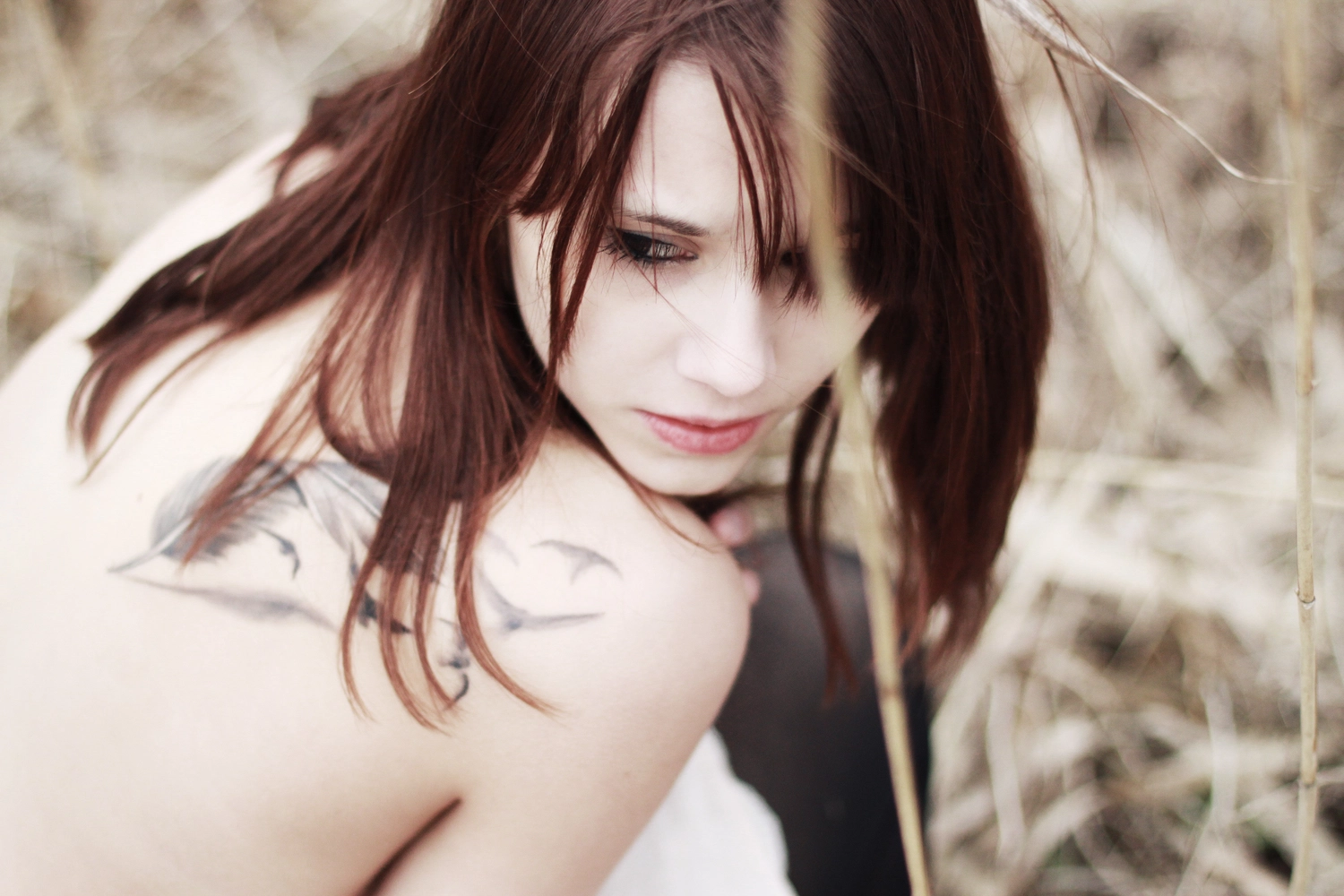 Steffotografie – Fotografie