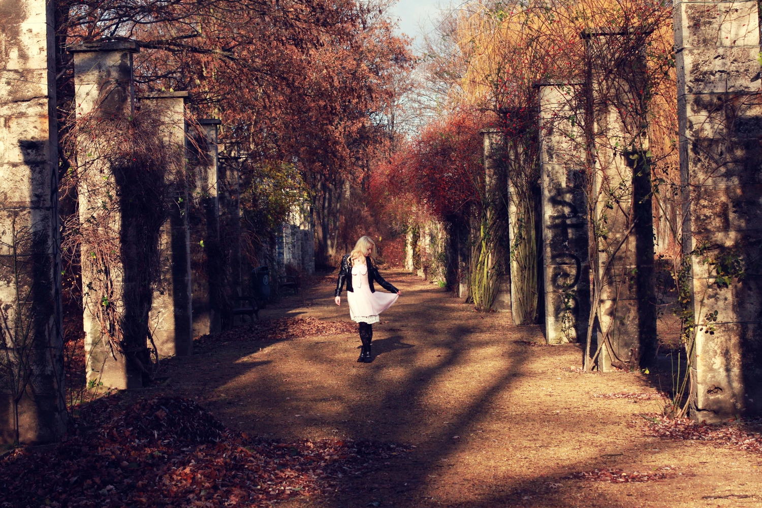 Steffotografie – Fotografie