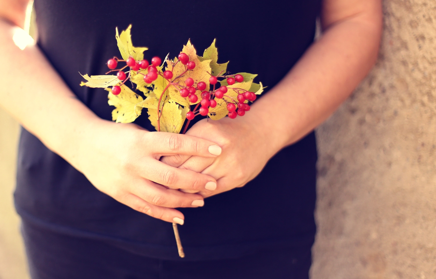 Steffotografie – Fotografie