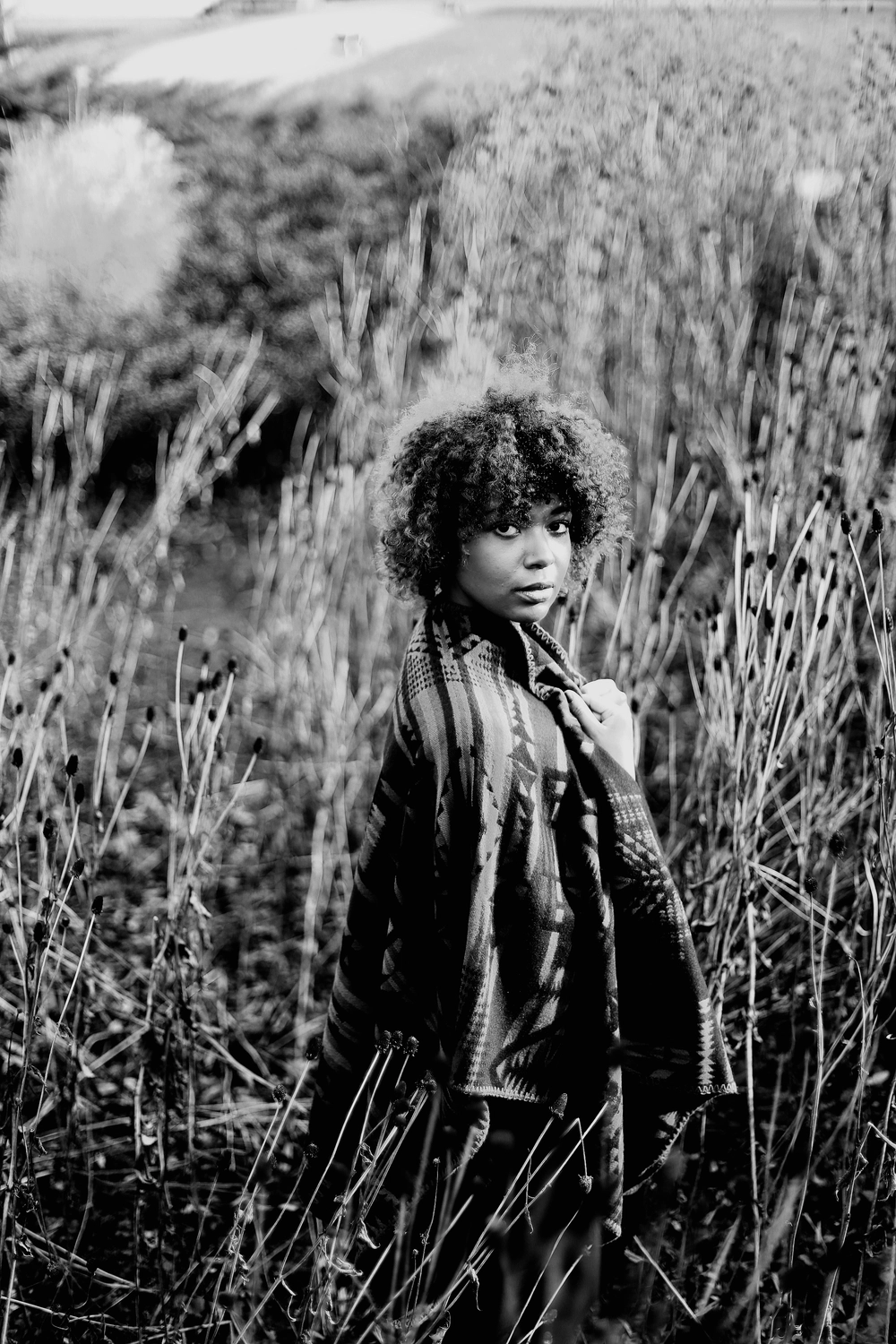 Steffotografie – Fotografie