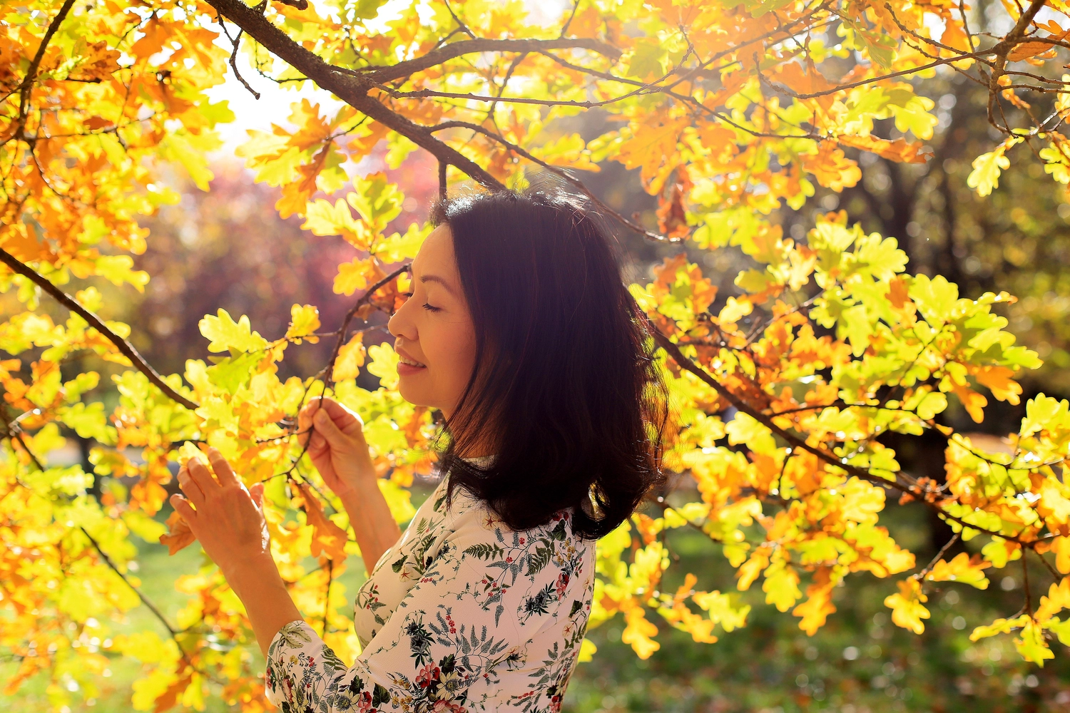 Steffotografie – Fotografie