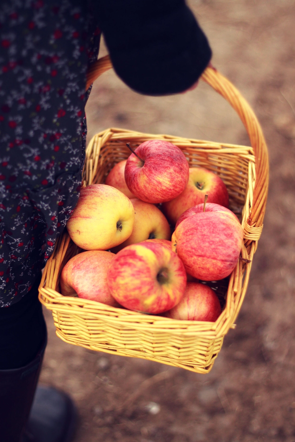 Steffotografie – Fotografie