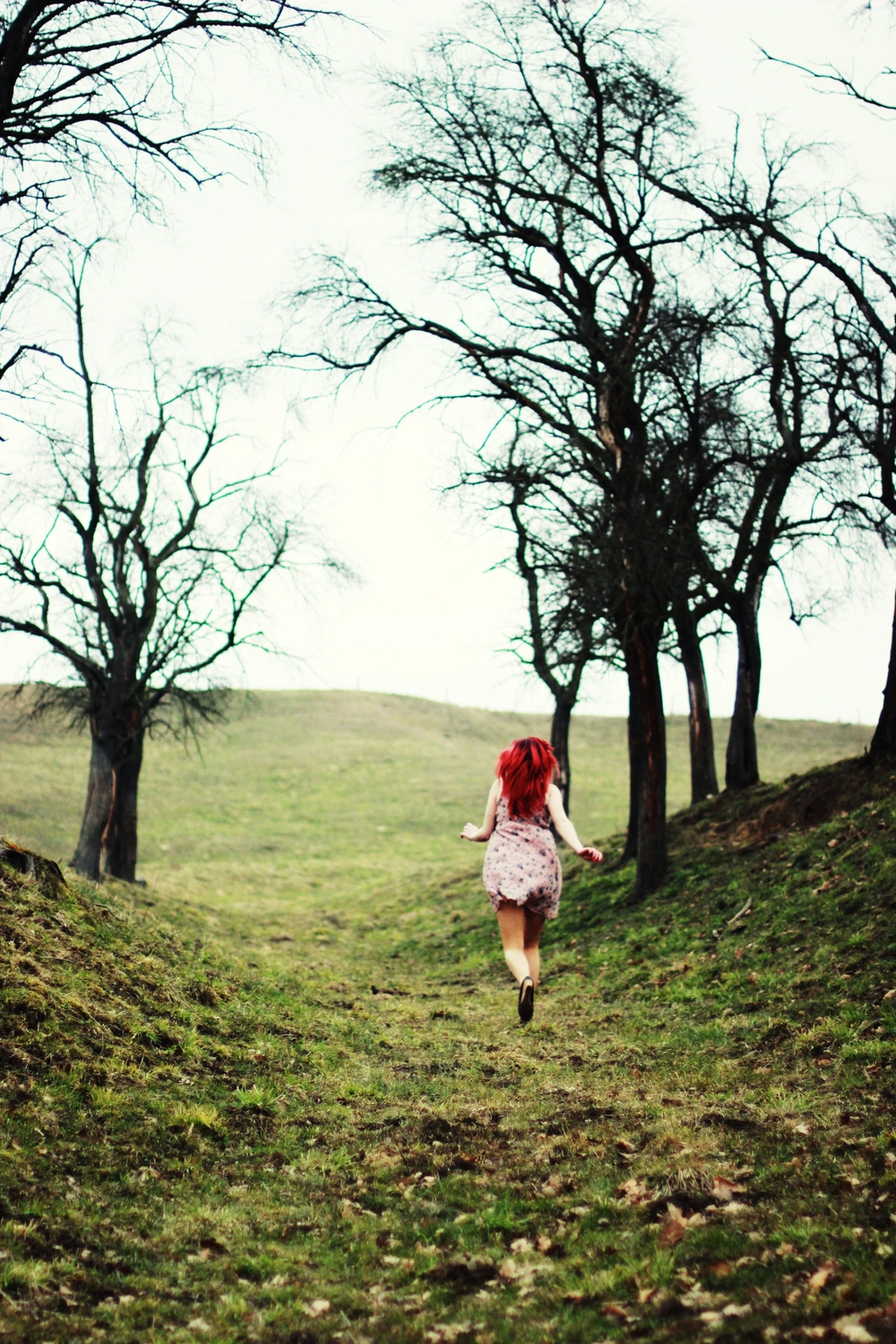 Steffotografie – Fotografie