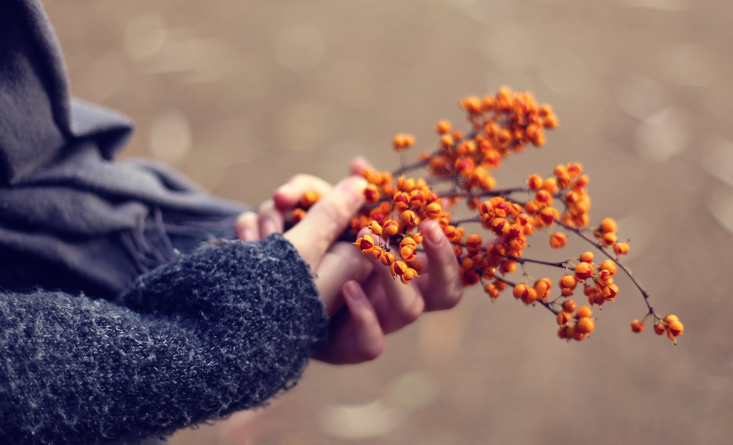 Steffotografie – Fotografie