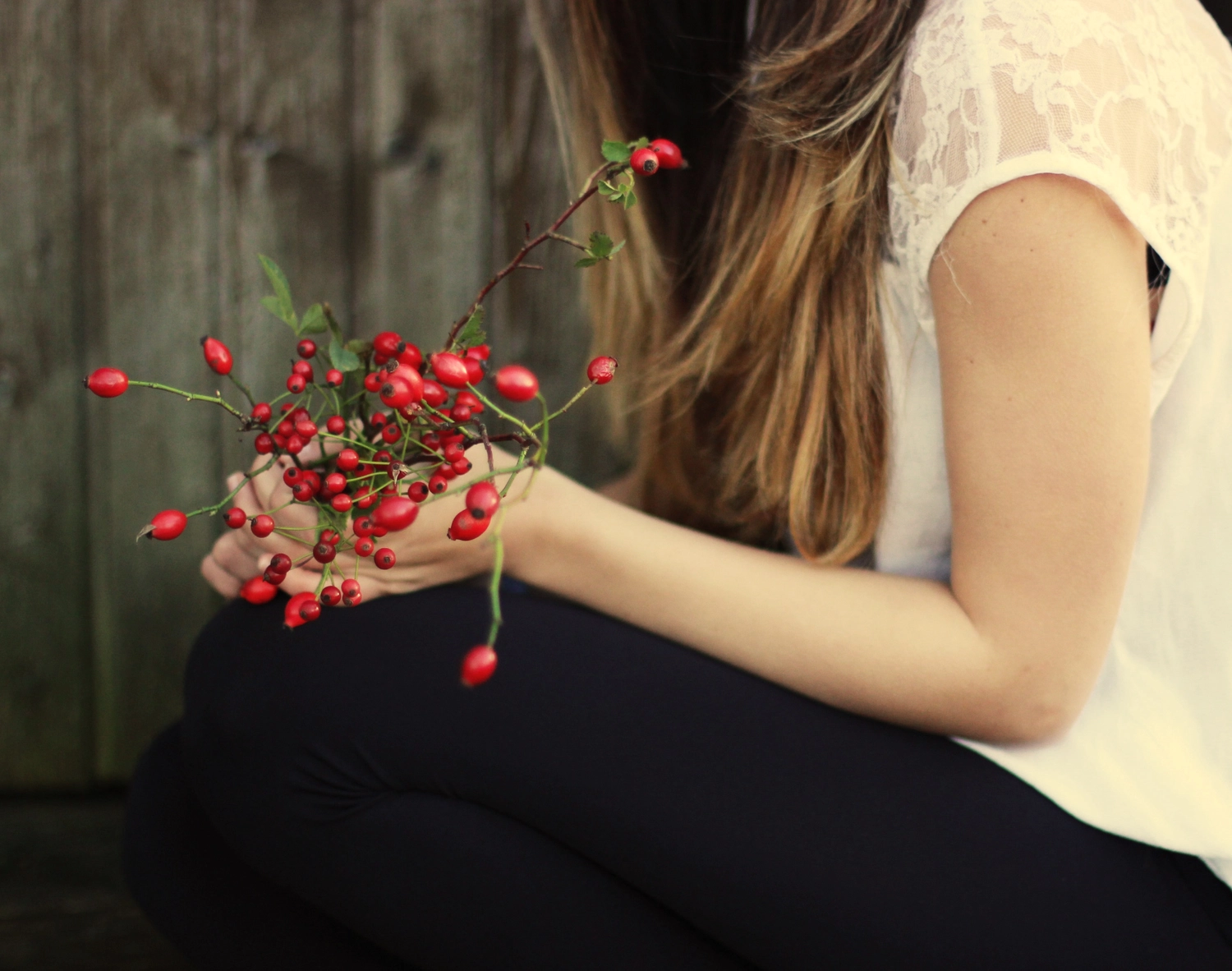 Steffotografie – Fotografie