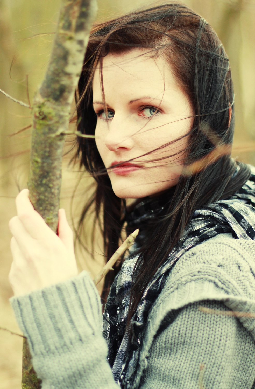 Steffotografie – Fotografie