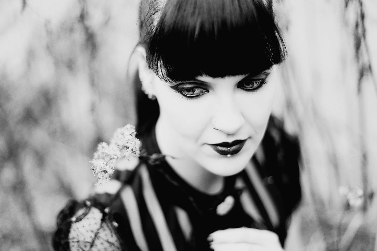 Steffotografie – Fotografie