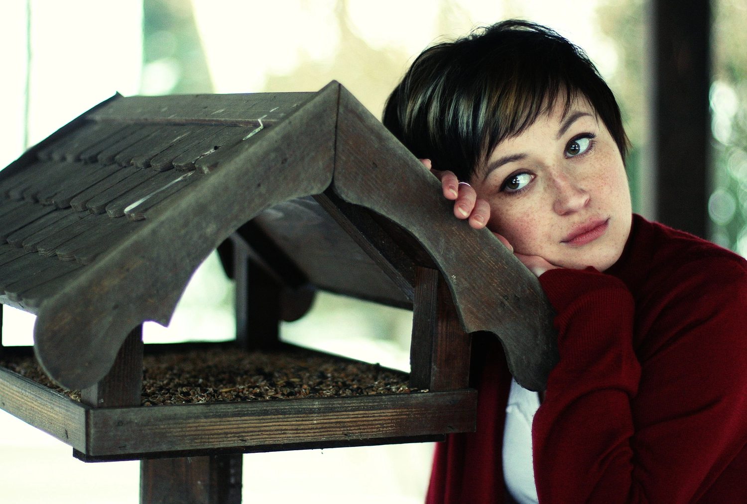 Steffotografie – Fotografie