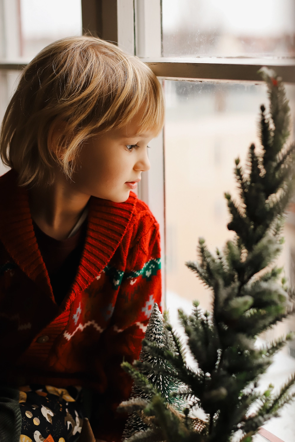 Steffotografie – Fotografie – Weihnachtsminis