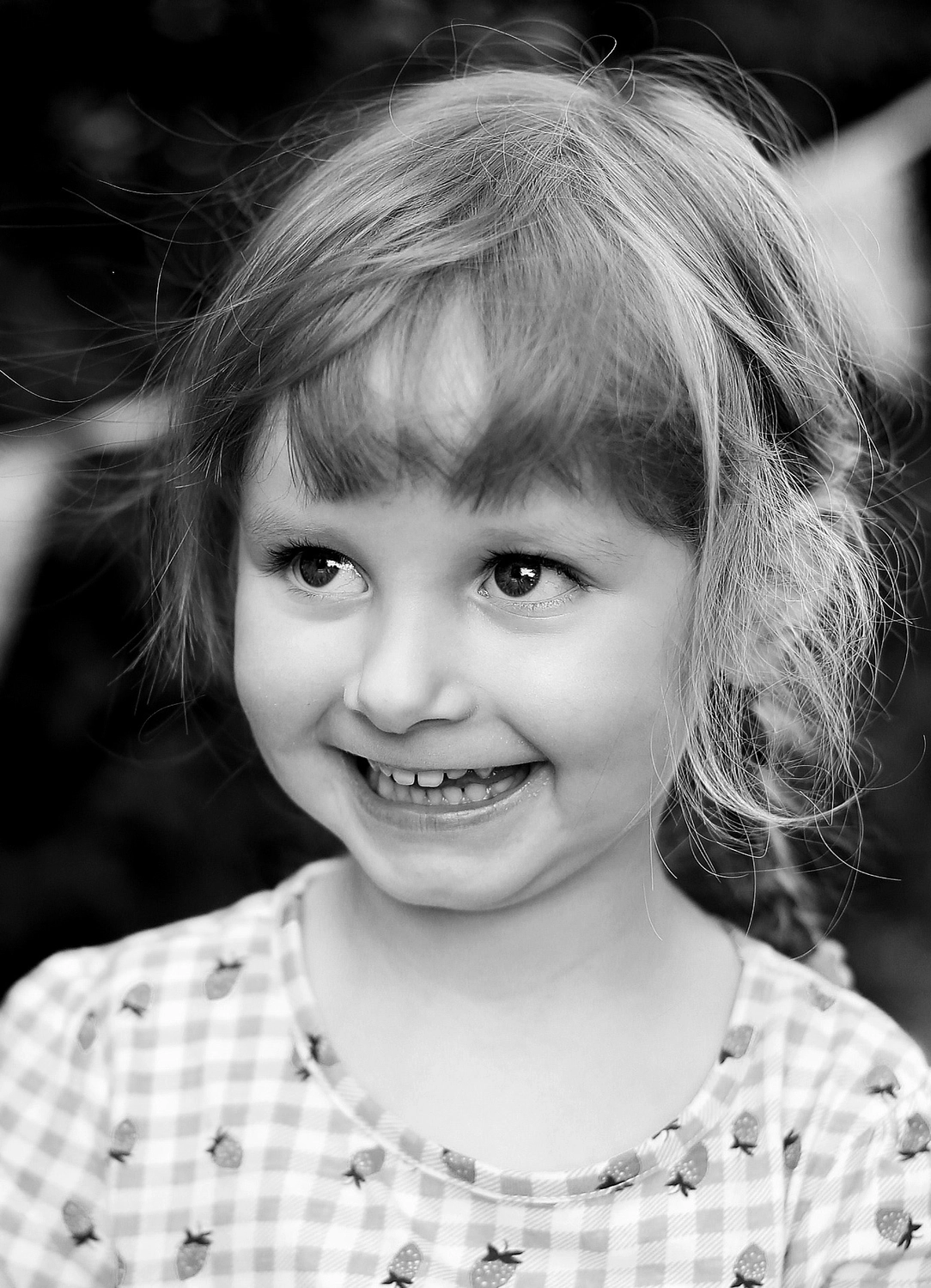 Steffotografie – Fotografie