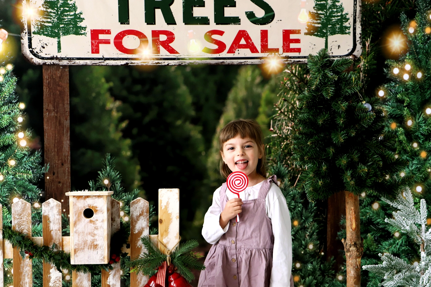 Steffotografie – Fotografie – Weihnachtsminis