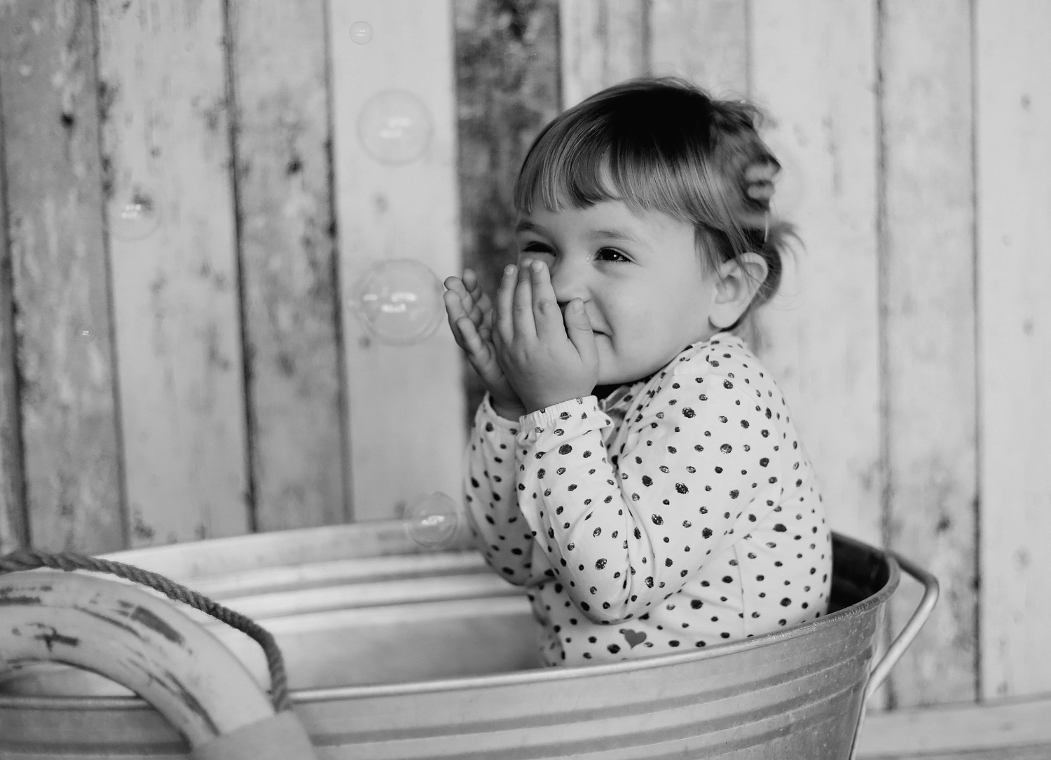 Steffotografie – Fotografie