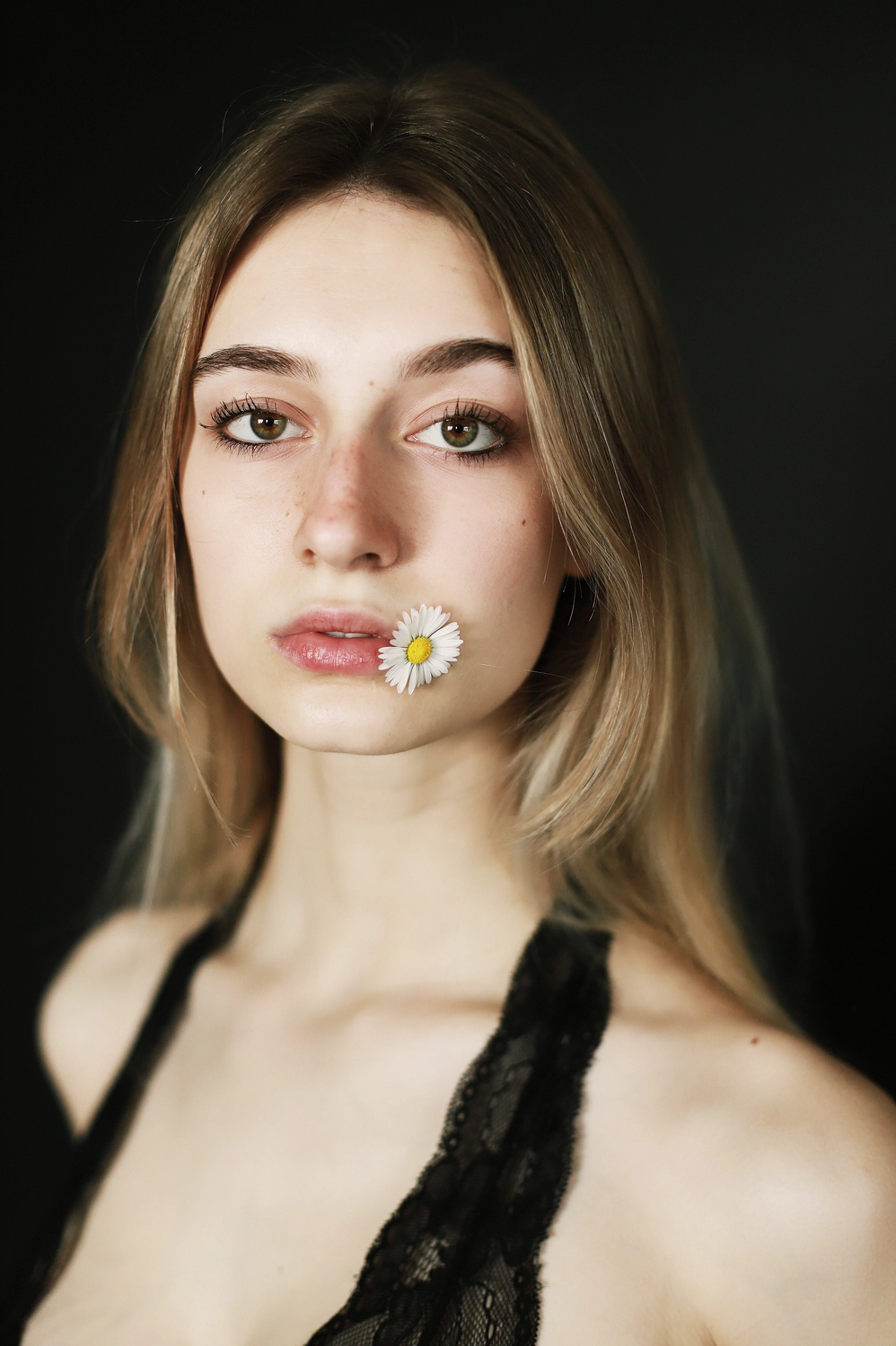 Steffotografie – Fotografie