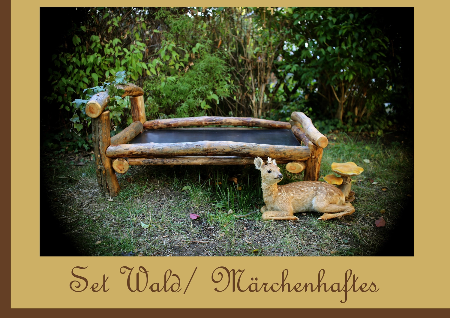 Steffotografie – Fotografie