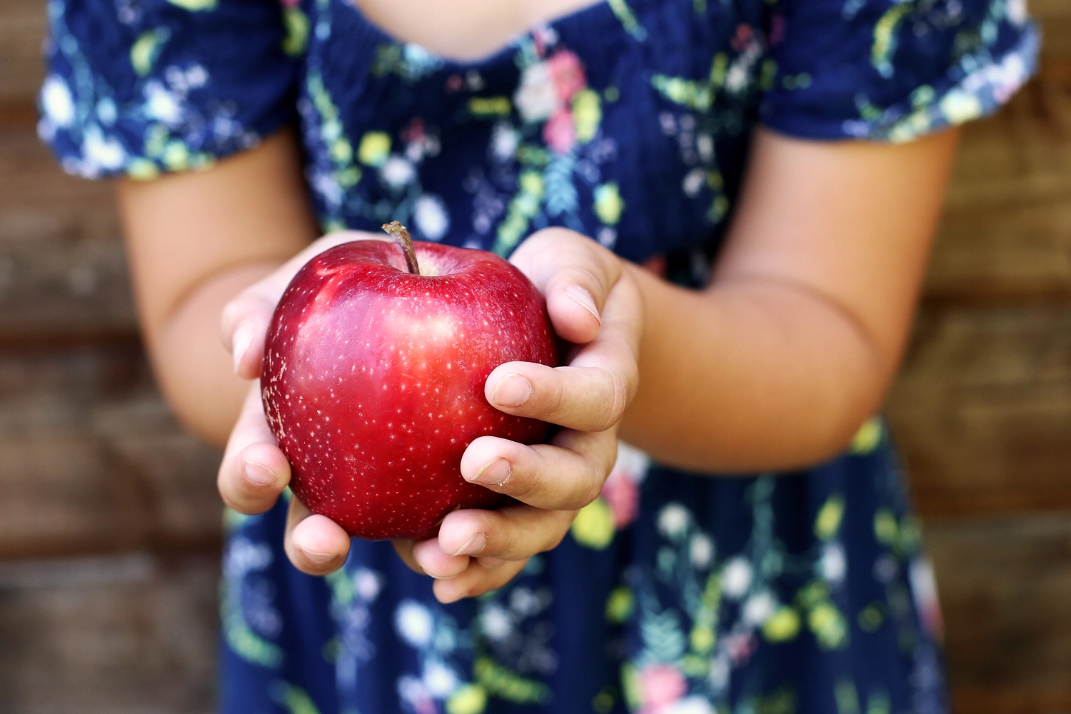 Steffotografie – Fotografie – Familienzeit