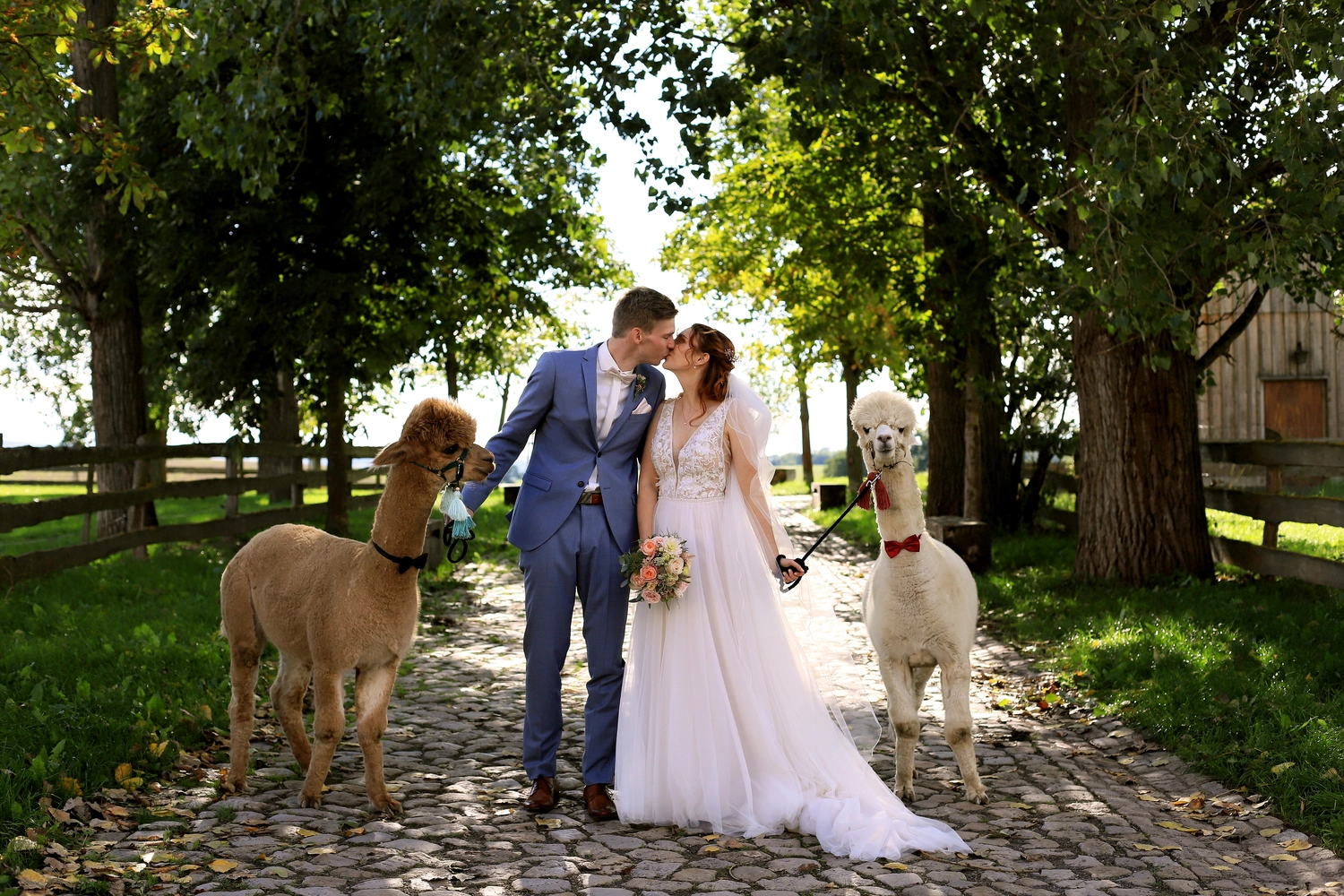 Steffotografie – Fotografie – Familienzeit