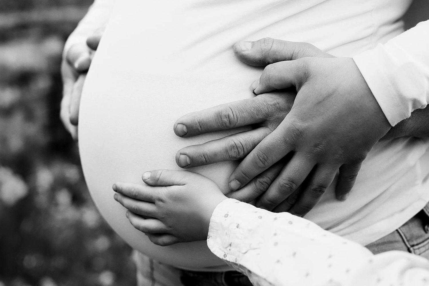 Steffotografie – Fotografie