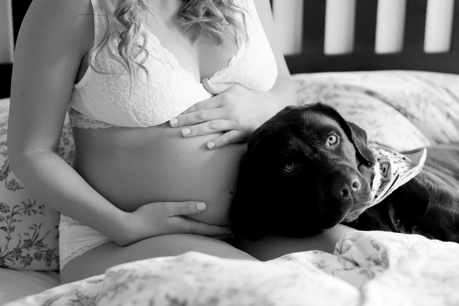 Steffotografie – Fotografie