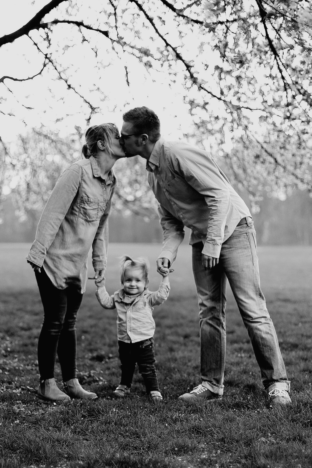 Steffotografie – Fotografie