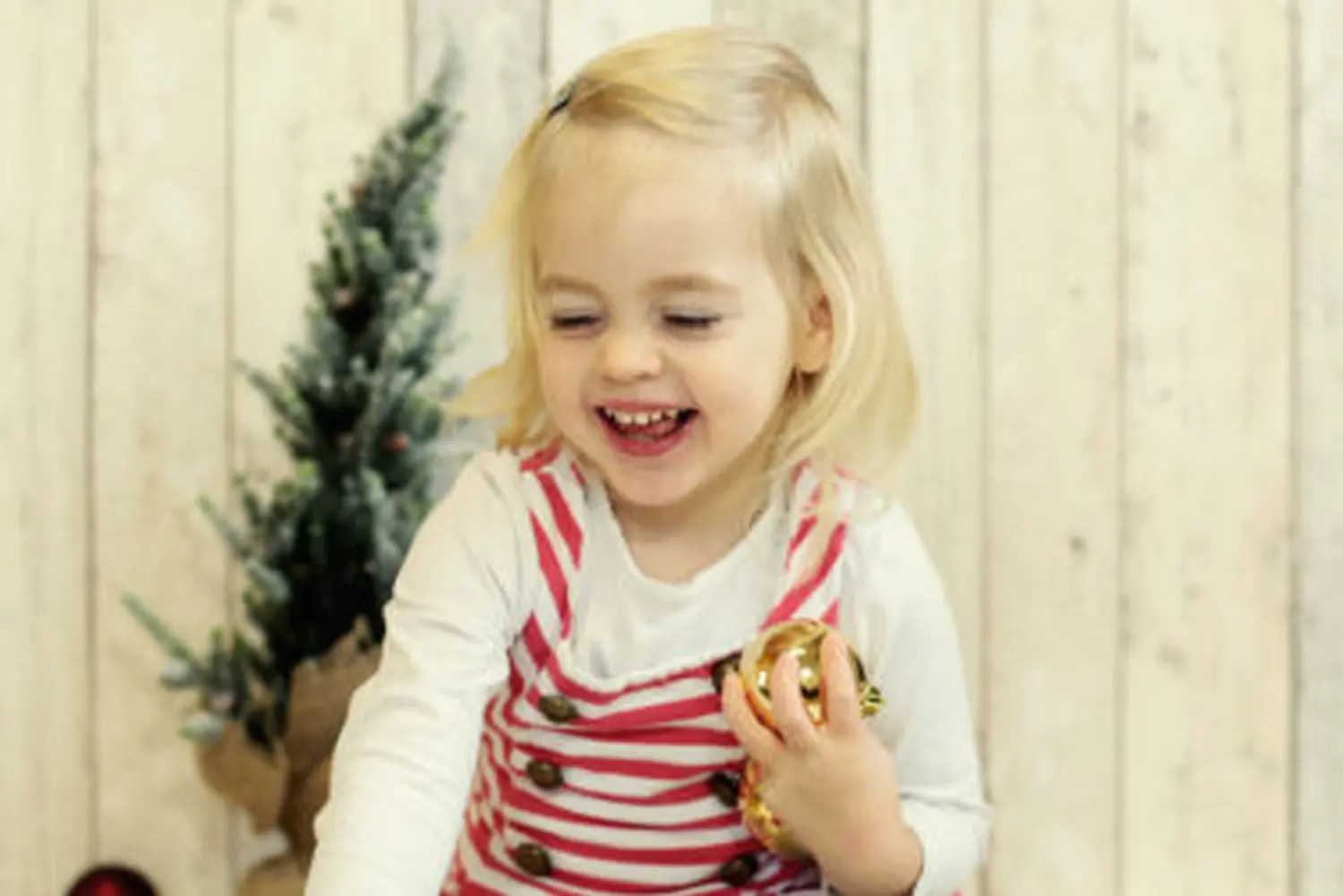 Steffotografie – Fotografie – Weihnachtsminis