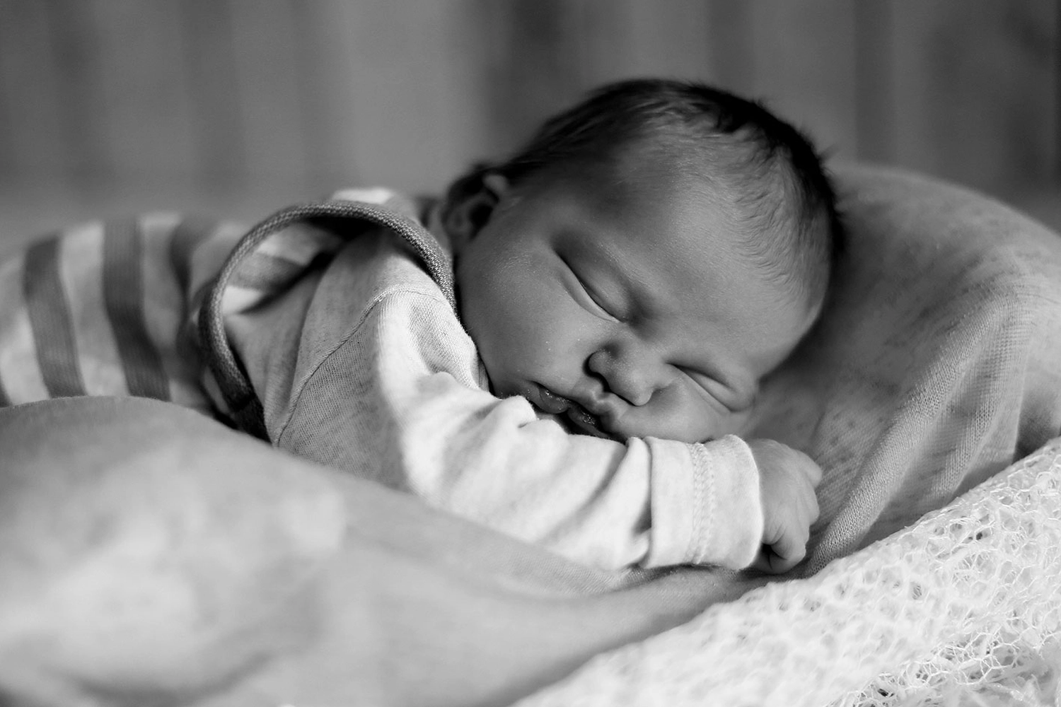 Steffotografie – Fotografie