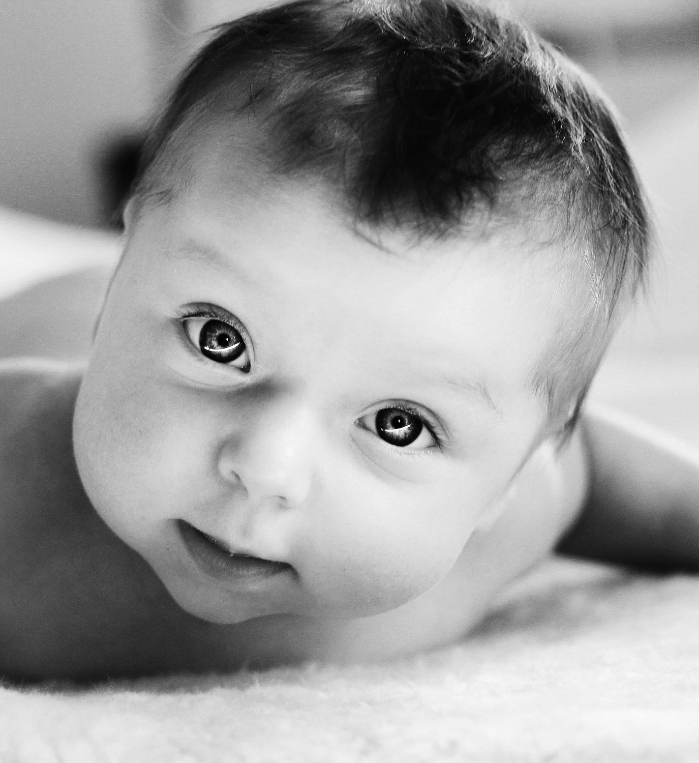 Steffotografie – Fotografie