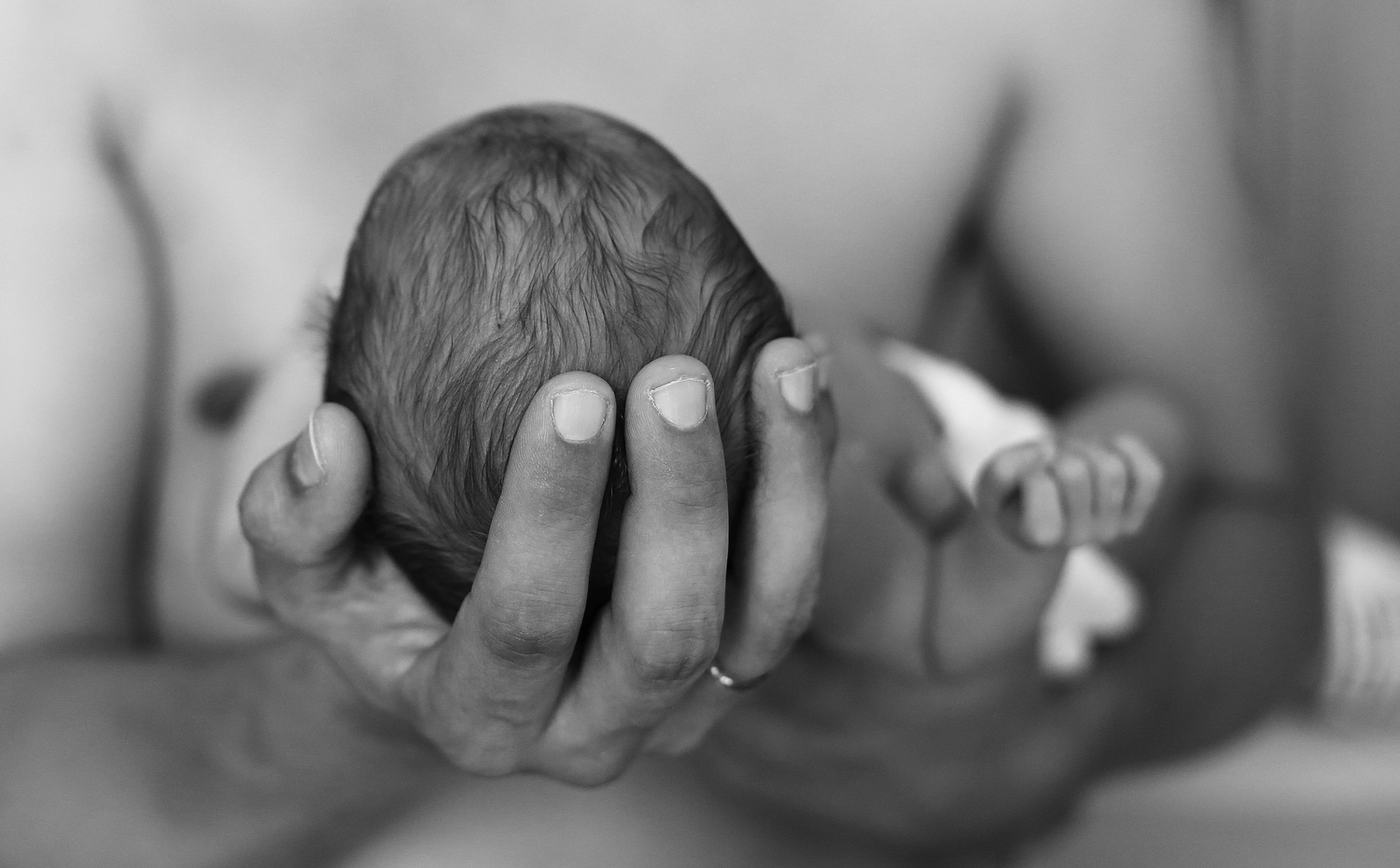 Steffotografie – Fotografie