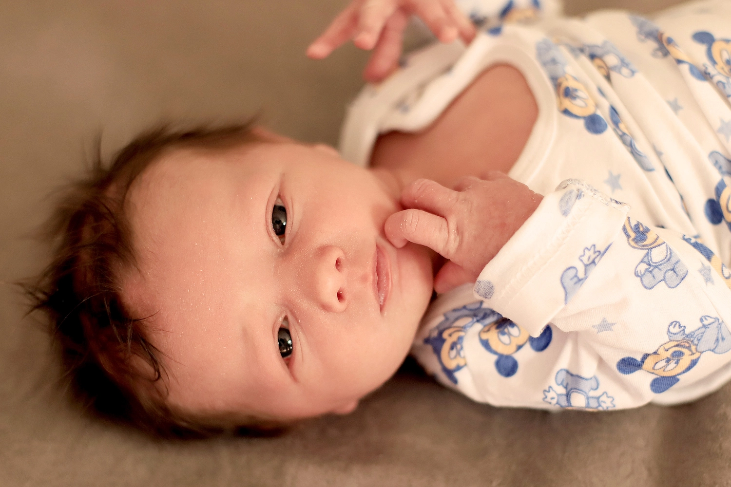 Steffotografie – Fotografie – Familie