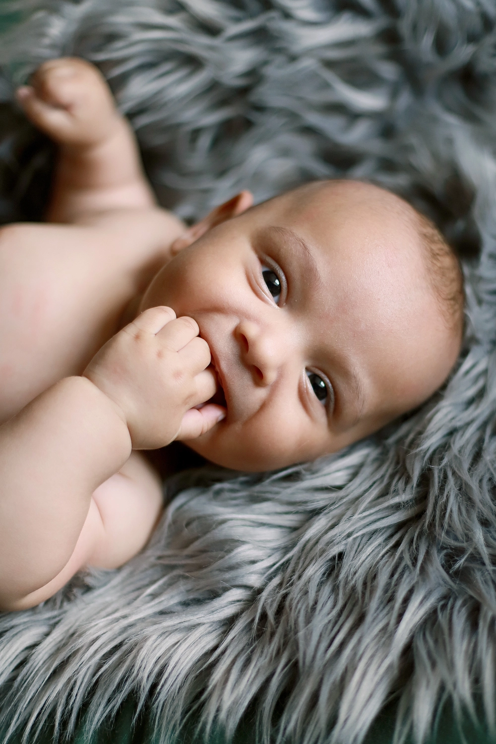 Steffotografie – Fotografie