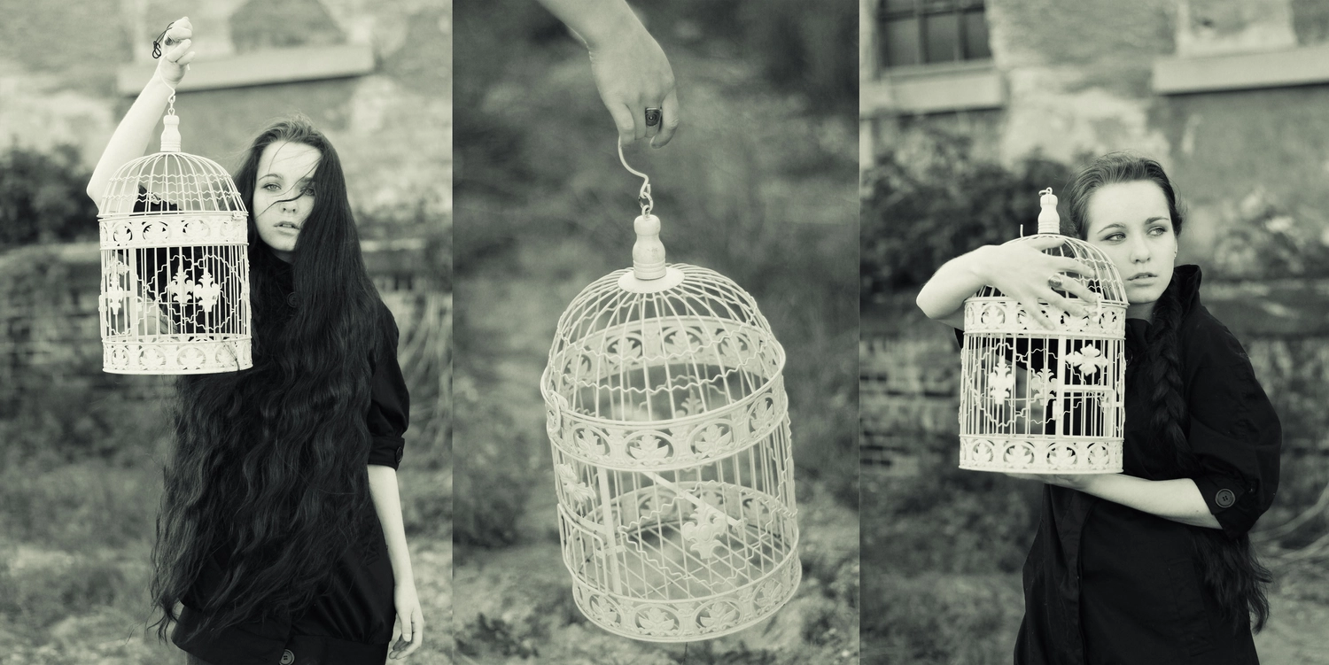 Steffotografie – Fotografie