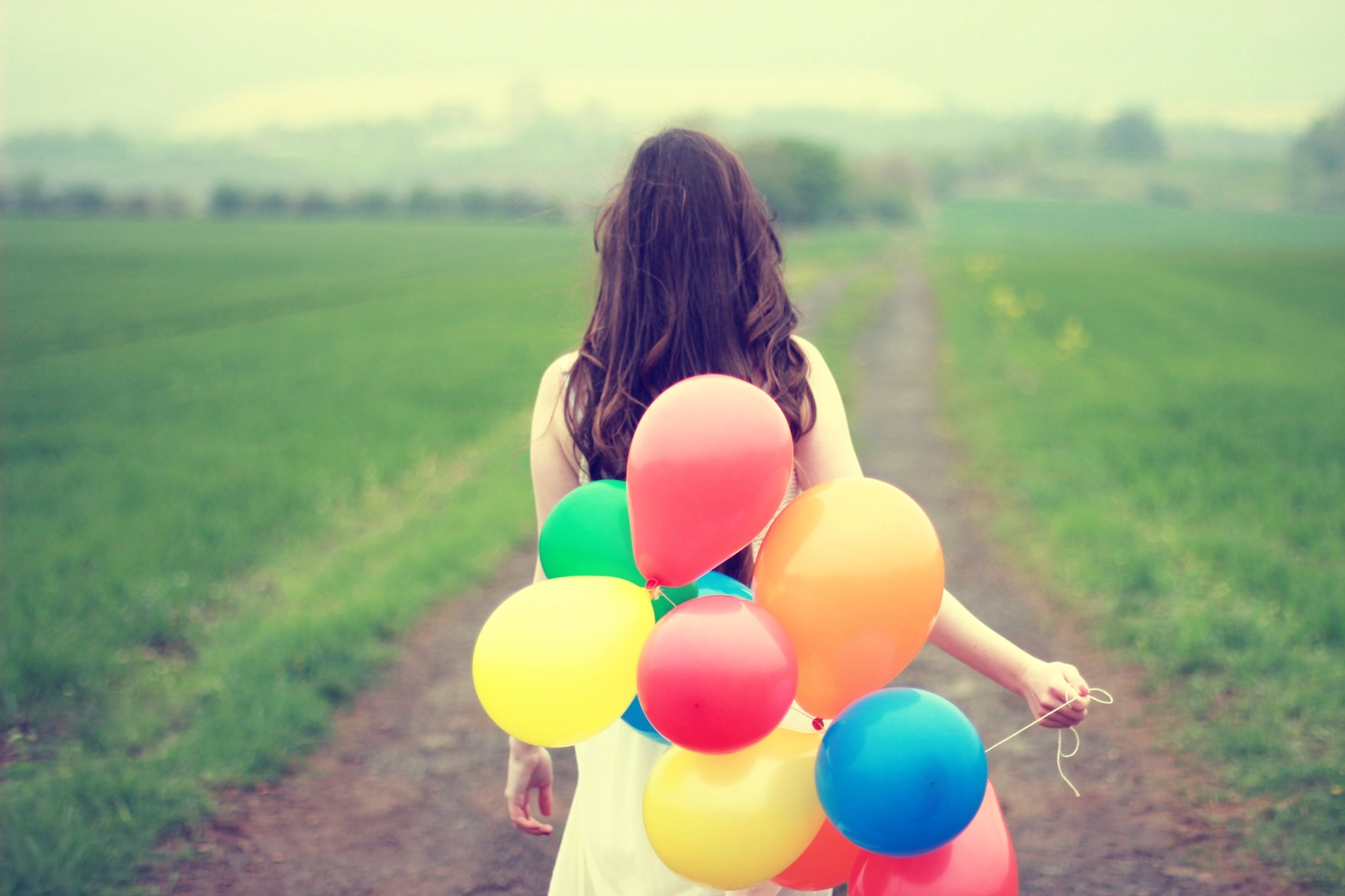 Steffotografie – Fotografie