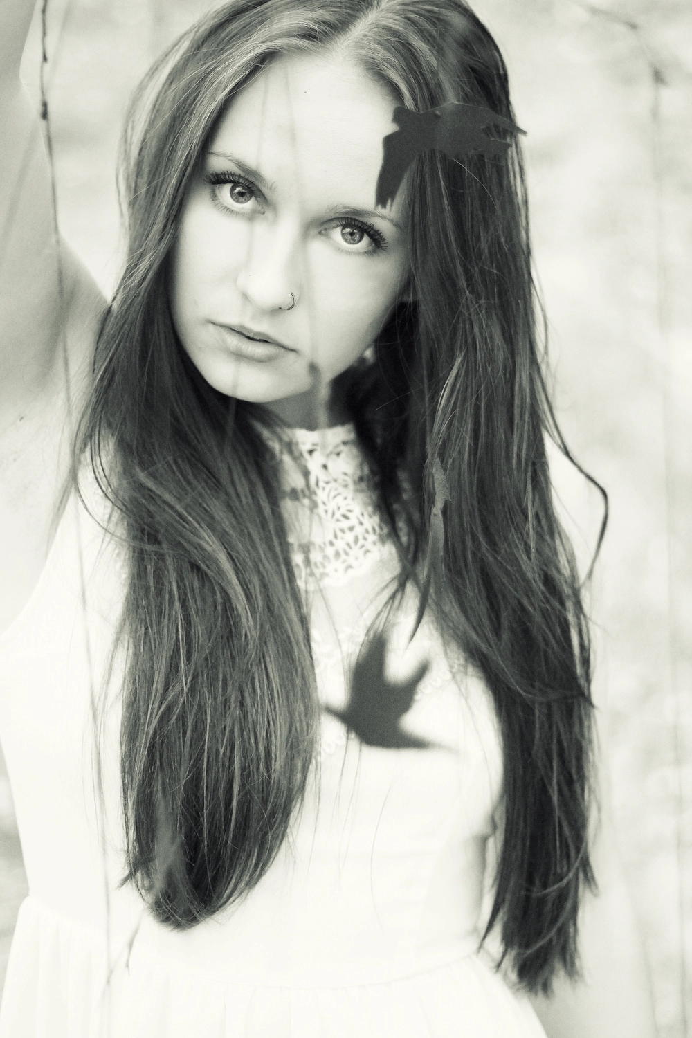 Steffotografie – Fotografie