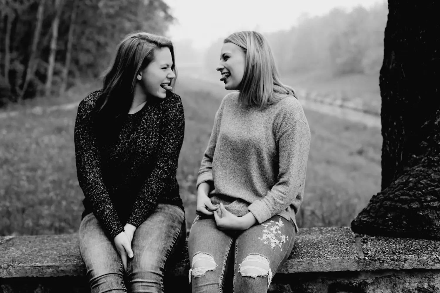 Steffotografie – Fotografie