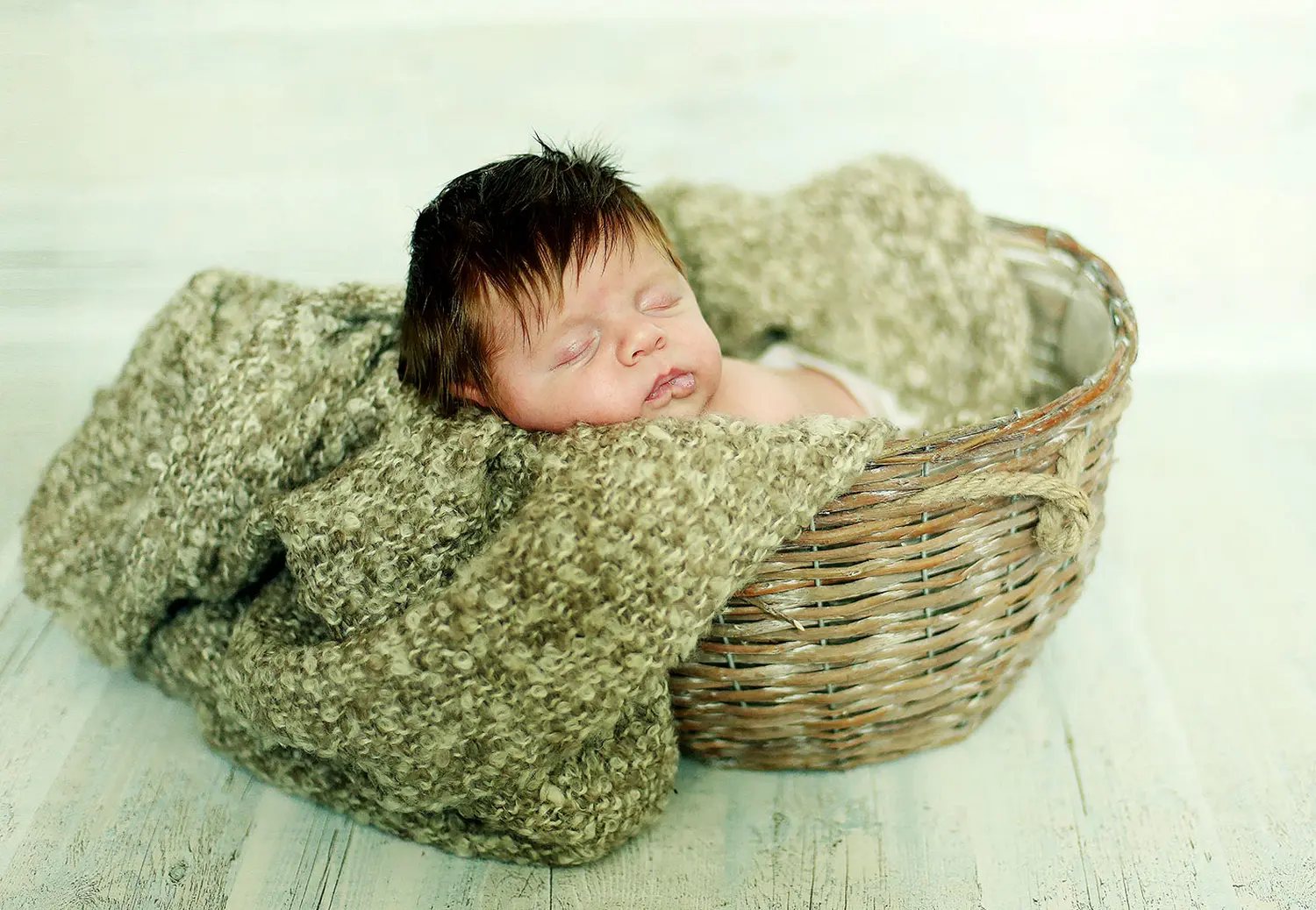 Steffotografie – Fotografie